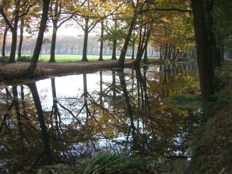 Griendtsveen : Helenaveenseweg, Herbstimpressionen
